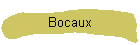 Bocaux